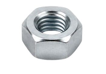 Hex Nut